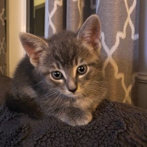 Meet your Posher, Karine